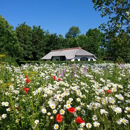 Mariahoeve-logies #polderhuisje Holiday home Woubrugge