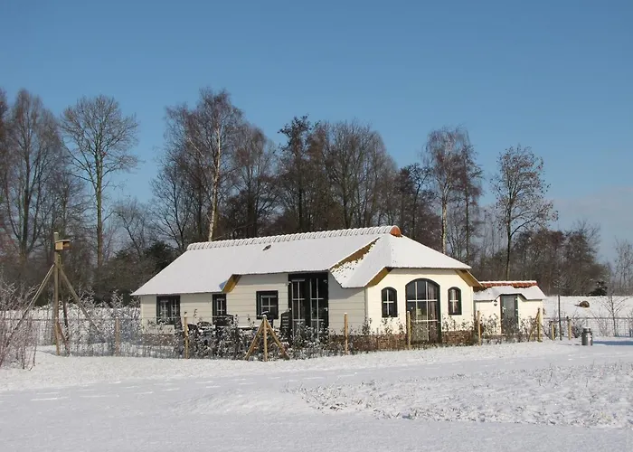 Tatil Evi Mariahoeve-logies #polderhuisje *