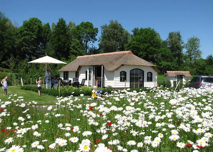 Farm-logies Near Leiden Woubrugge