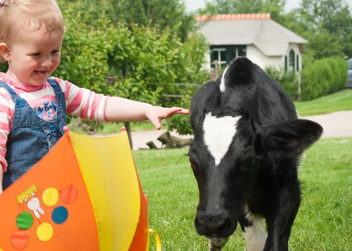 Farm-logies Near Leiden Hébergement de vacances *